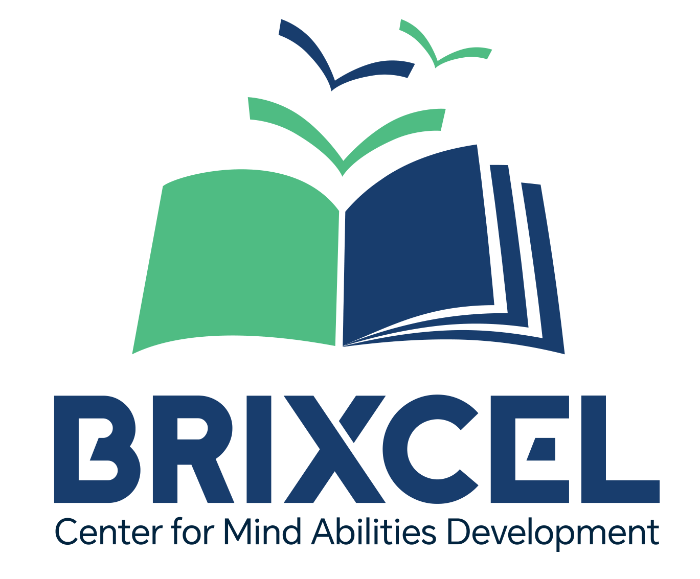 BRIXCEL LOGO-1 (1)